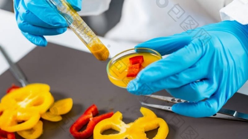乡镇速冻食品店：盈利潜力与经营策略分析